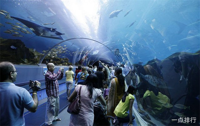 盘点世界最大的水族馆 亚特兰大乔治亚水族馆排
