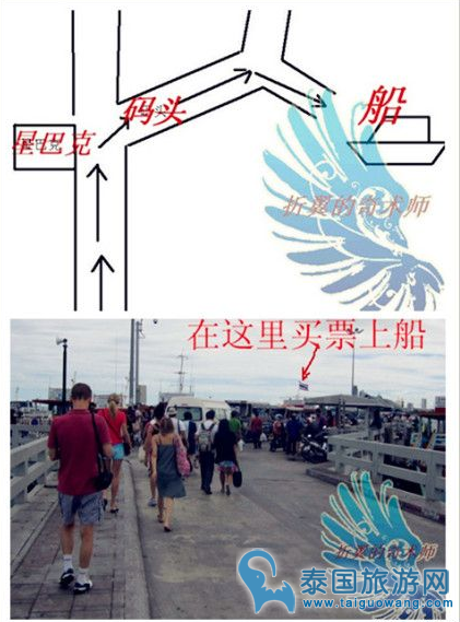 芭提雅兰岛(珊瑚岛/格兰岛)旅游攻略