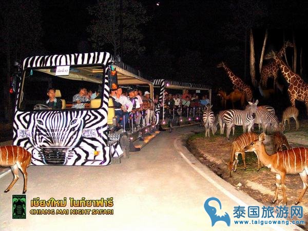 清迈夜间动物园Chiang Mai Night Safari