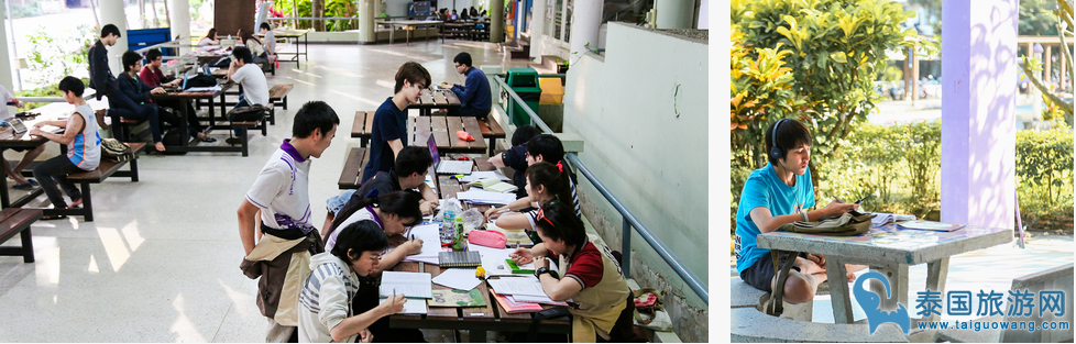 值得一去的地方--宛如公园般的清迈大学