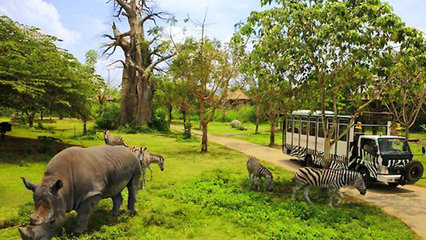 曼谷适合亲子游的旅游景点推荐--曼谷野生动物园