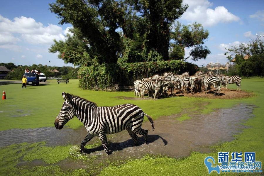 曼谷适合亲子游的旅游景点推荐--曼谷野生动物园