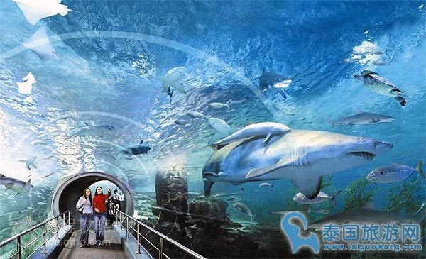 东南亚最大的室内水族馆——暹罗海洋馆