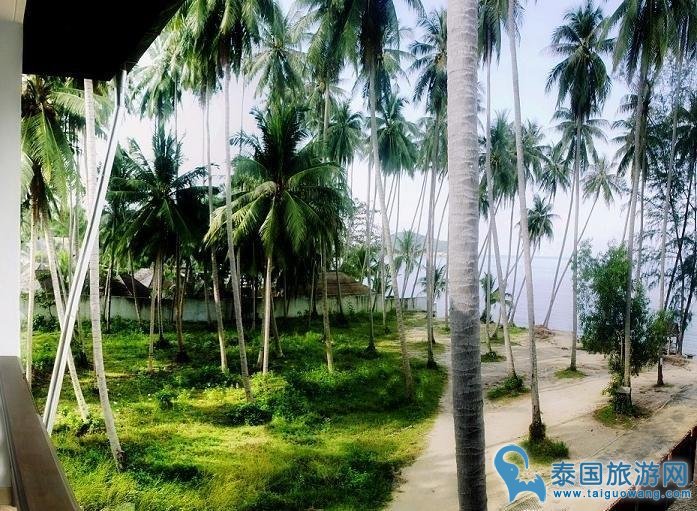 苏梅岛便宜的私家海滩酒店--利帕湾度假村