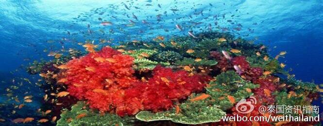 泰国海岛推荐：可兰岛