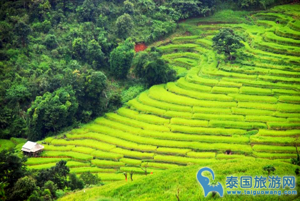 适合雨季游玩的十大景点