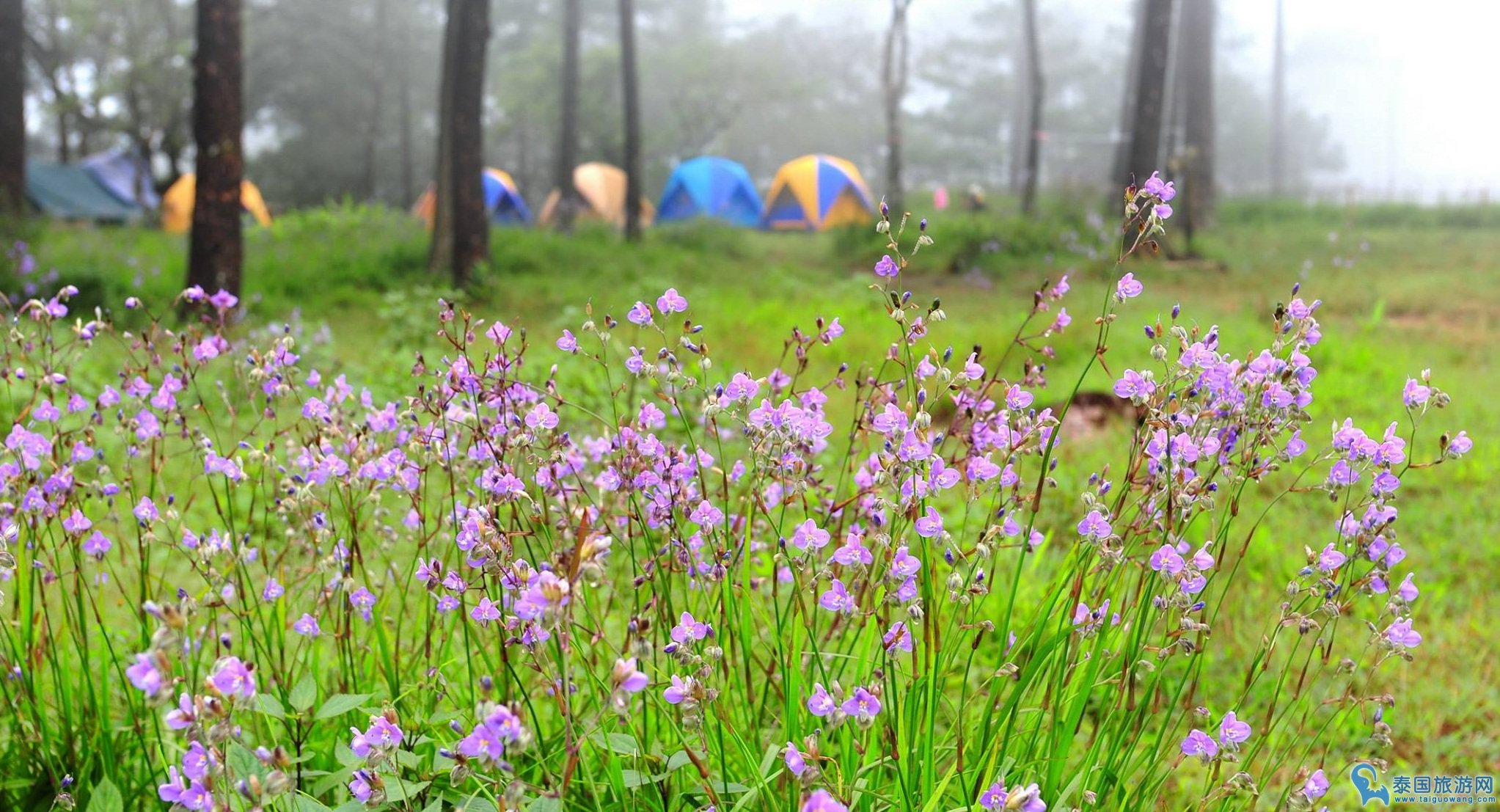 适合雨季游玩的十大景点