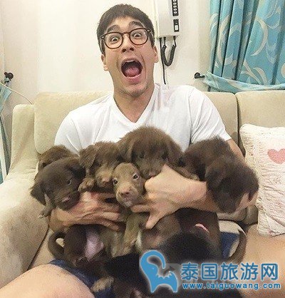 泰国酷帅男星与萌宠们的有爱瞬间