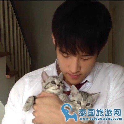 泰国酷帅男星与萌宠们的有爱瞬间