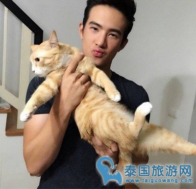 泰国酷帅男星与萌宠们的有爱瞬间