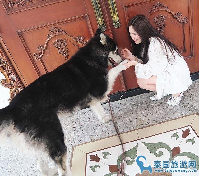 正宗白富美 泰女星Punpun家庭温馨