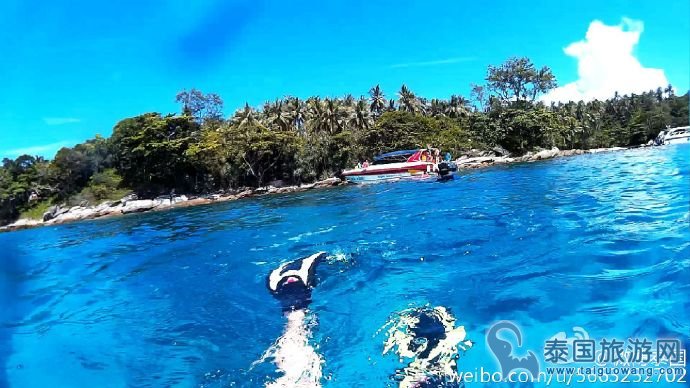 注意啦！到泰旅游请遵守当地保护海洋生态环境