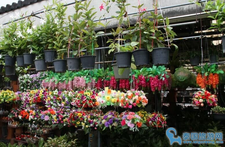 曼谷主要的植物和花卉市场之一