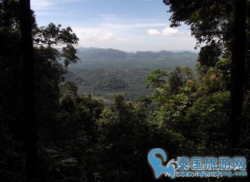 泰国典型的自然森林区--帕侬宾札国家公园