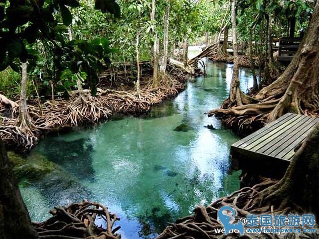 泰国典型的自然森林区--帕侬宾札国家公园