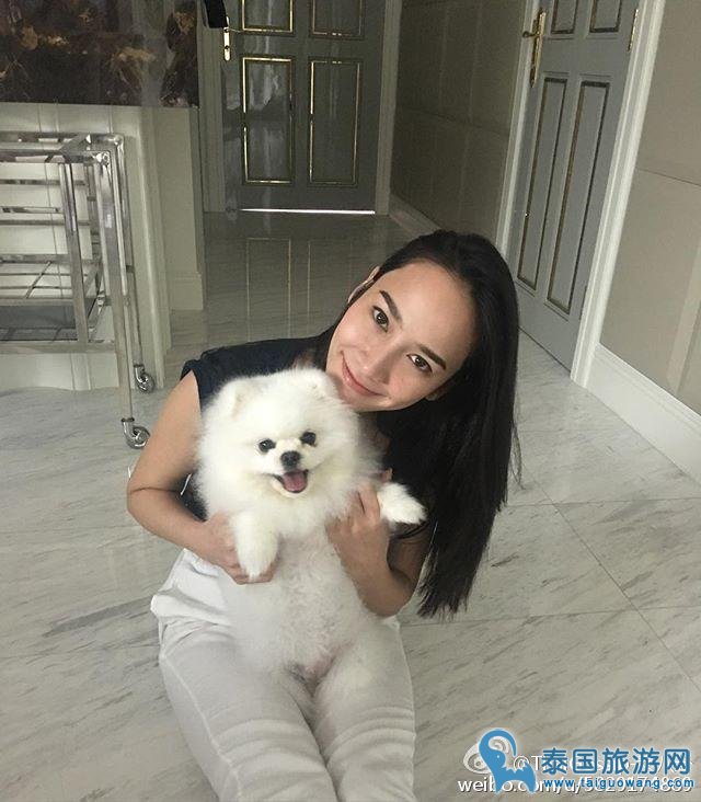 Aum男友许久没联系,努力工作陪狗狗
