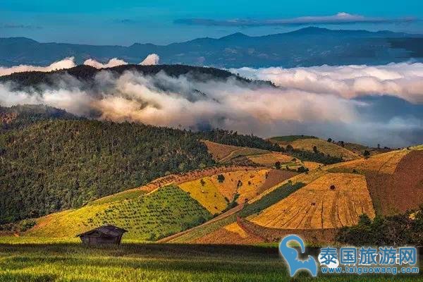 泰国最美梯田--清迈茵他侬山梯田