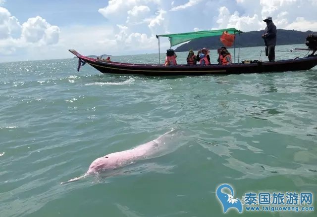 5个泰国雨季旅游的最佳去处