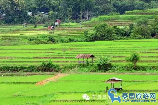 泰国边境旅游--泰国边境小城“难府”