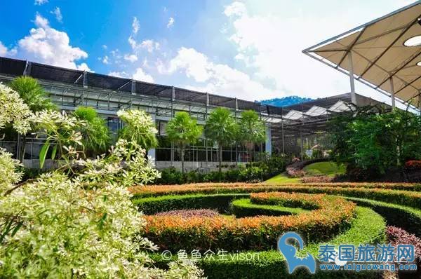 泰国中部几个值得一去的旅游景点
