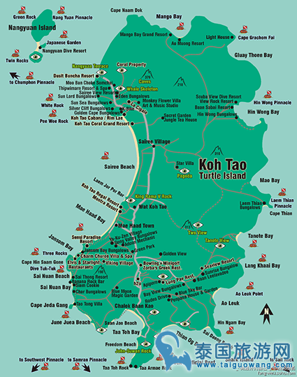 涛岛地图/涛岛手绘地图