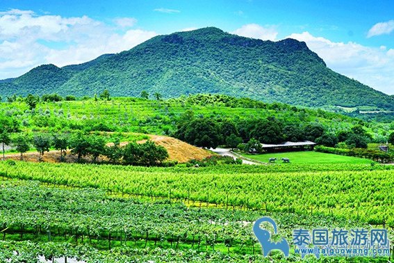 泰国异域风情景点，带你环游全世界