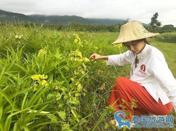 Poo和Note不做情人亦是朋友