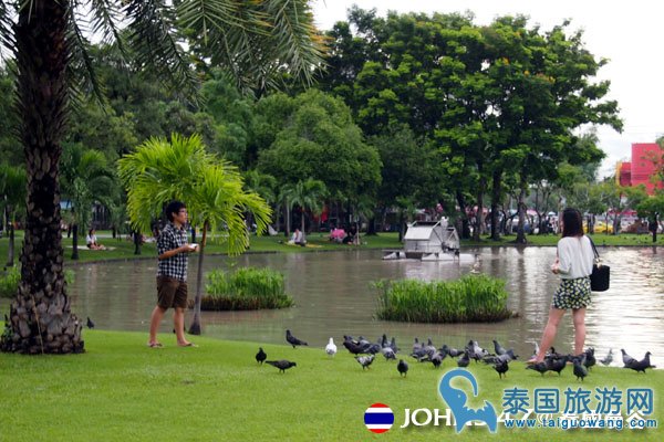 去曼谷地铁沿线景点公园--恰图恰公园野餐喂鸽子