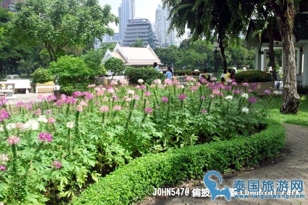 泰国曼谷 伦披尼公园Lumphini Park13