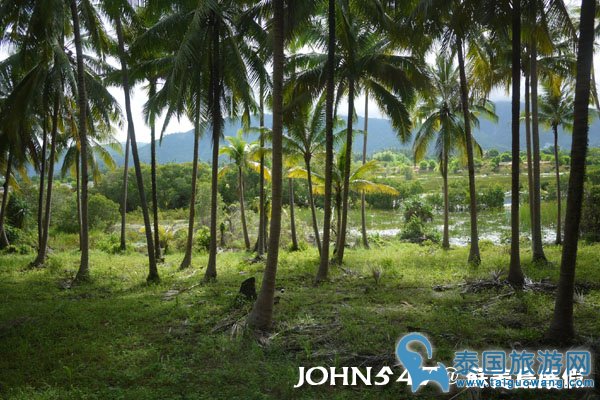 泰国曼谷到苏美岛自由行-4.NA THON纳通码头3