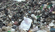 龟岛垃圾堆积成山，恶臭难忍