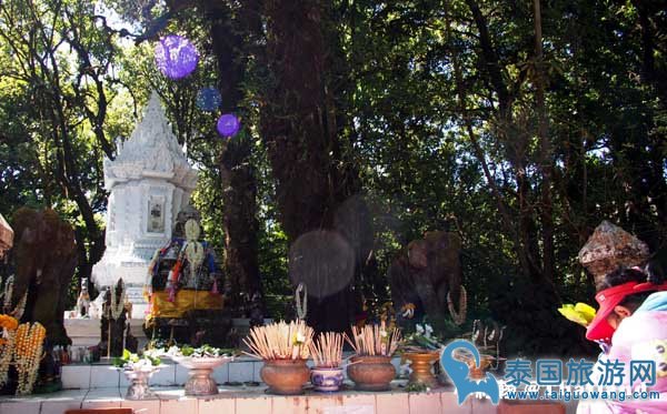 清迈一日游之茵他侬山国家公园Doi Inthanon National Park