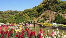 清迈一日游之茵他侬山国家公园Doi Inthanon National Park（上）