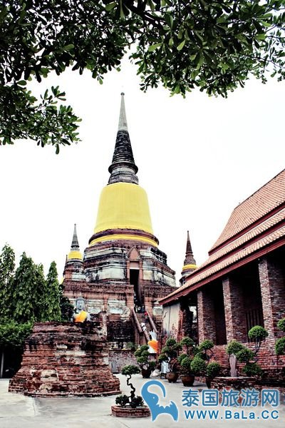 大城Wat Yai Chai Mongkol亚柴蒙考寺 大佛穿衣