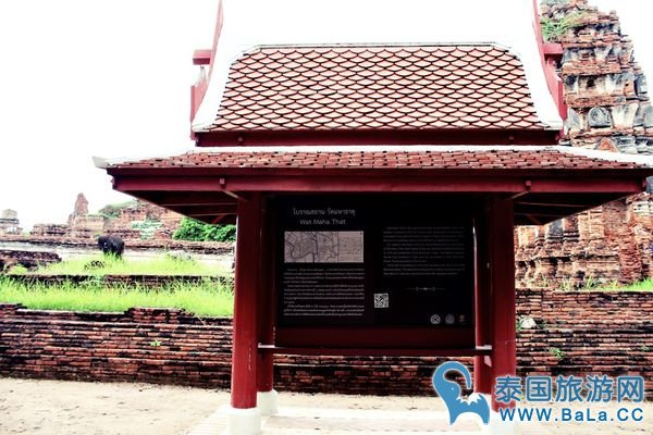 大城帕玛哈泰寺内部环境和佛像观一观