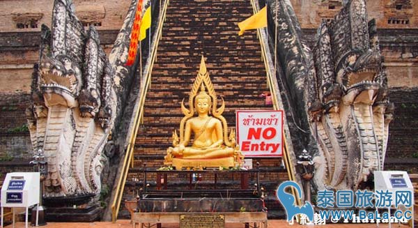 Wat Chedi Luang Worawihan柴迪隆寺 大佛塔寺 圣隆骨3