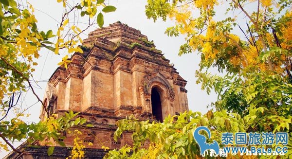 清迈自由行- Wat Chedi Luang Worawihan柴迪隆寺 大佛塔寺 圣隆骨1.jpg