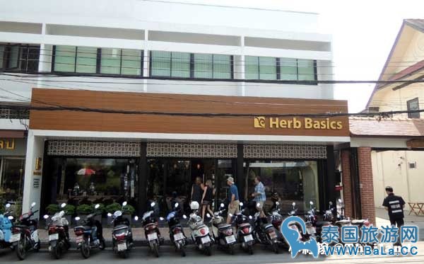 清迈去哪买Herb Basics平价知名精油