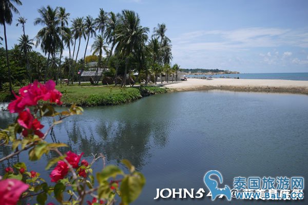 苏美岛骑机车环岛6拉迈海滩 Lamai Beach11.jpg
