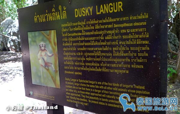 华欣著名奇特景点--帕亚那空穴中庙Phraya Nakhon Cave