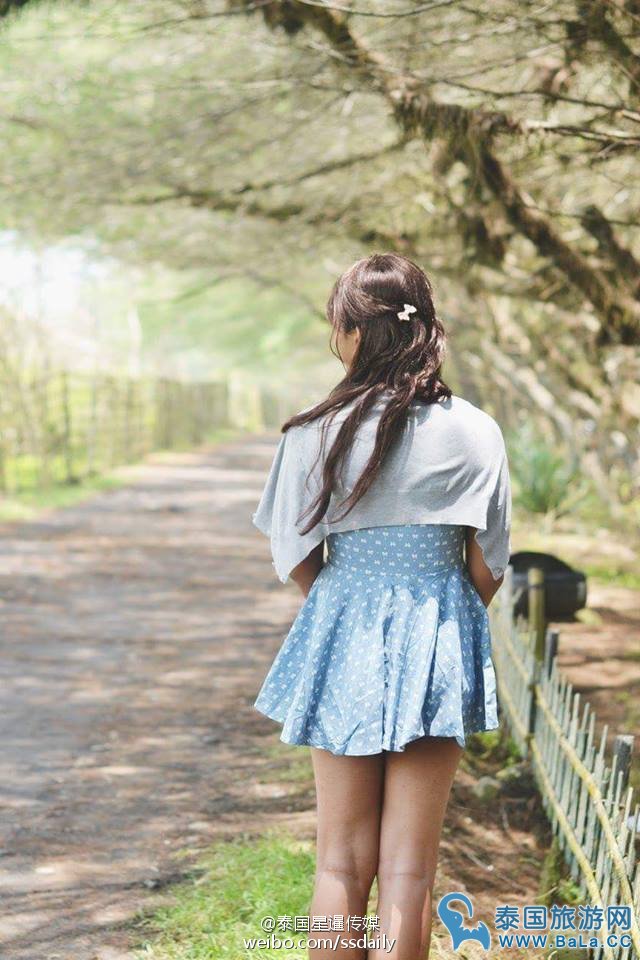 泰国背影杀手如此美丽,画面泰美我不敢看