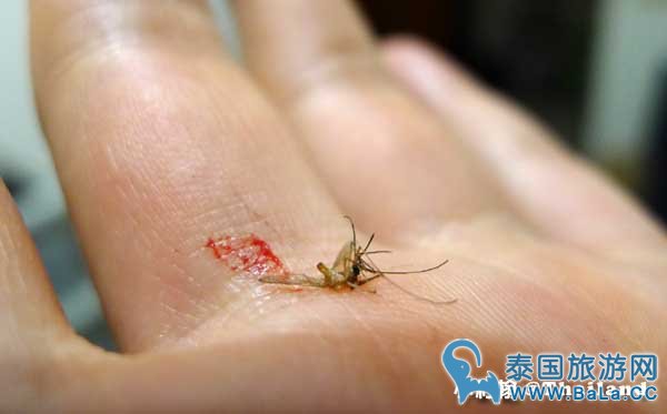 泰国防蚊液膏哪个牌子好用?