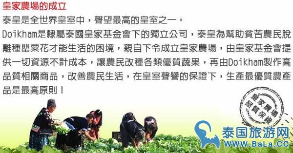 泰国什么牌子的芒果干最好吃?