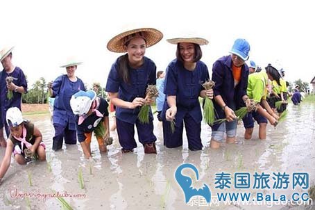 yaya连插秧都美成这样!还有谁?
