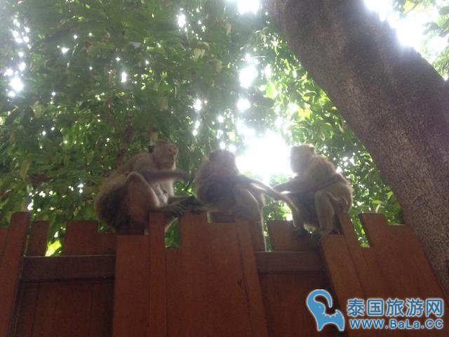 甲米Krabi攀岩之旅 全新起点