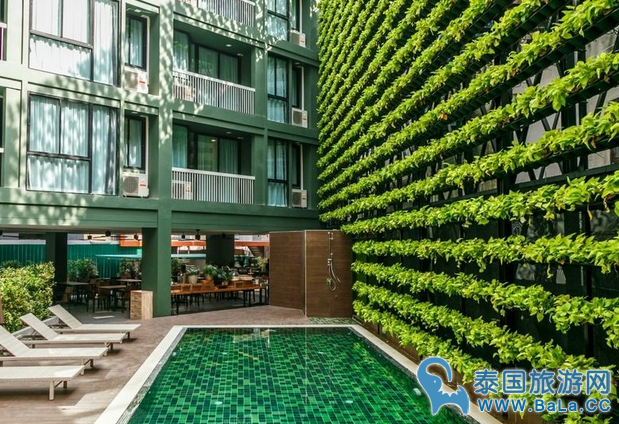 清迈风景超好的酒店X2 Vibe Chiang Mai Decem Hotel
