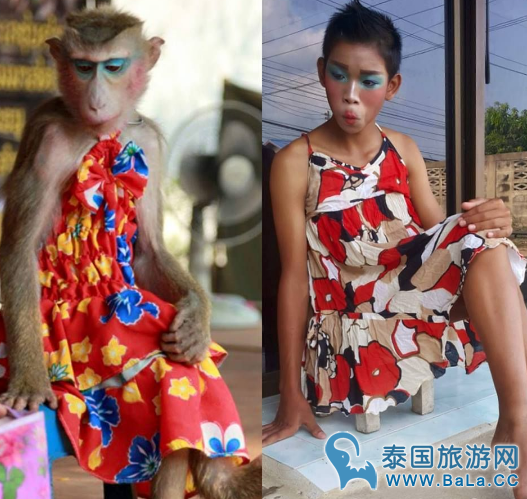 泰国时尚圈的泥石流Gigi Juno又出新作啦!