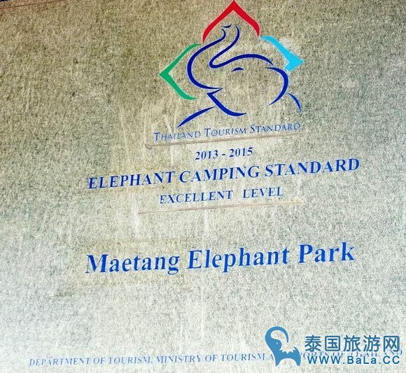 清迈大象公园Maetaeng Elephant Park+竹筏一日游