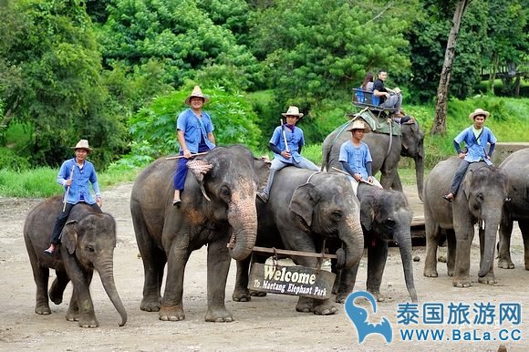 清迈大象公园Maetaeng Elephant Park+竹筏一日游