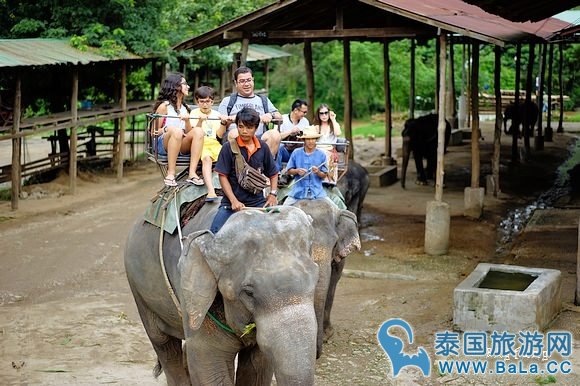 清迈大象公园Maetaeng Elephant Park+竹筏一日游